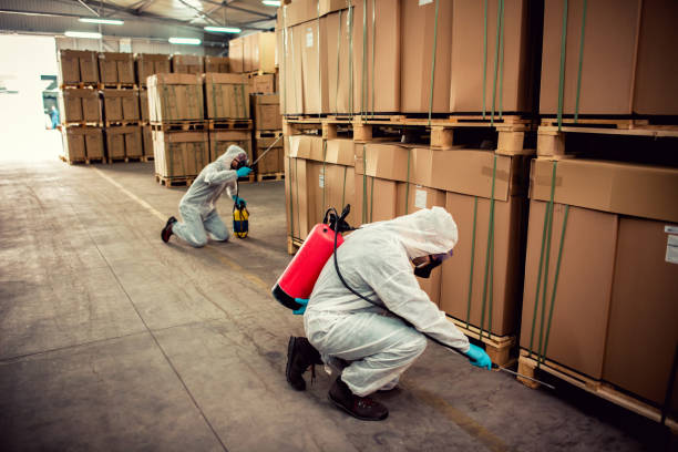 Best Wildlife Control Services  in Boley, OK