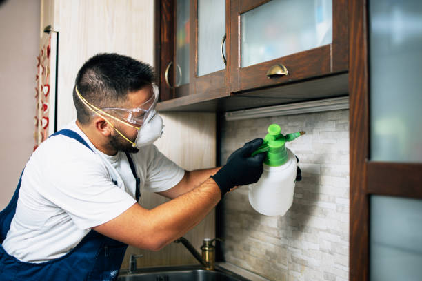 Best Wildlife Control Services  in Boley, OK