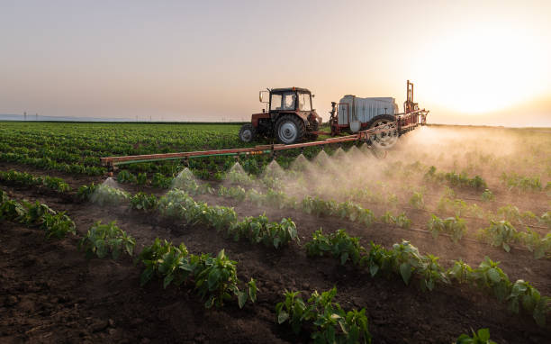 Pest Control for Restaurants in Boley, OK