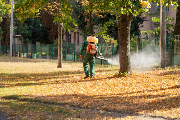 Best Best Pest Control Companies  in Boley, OK