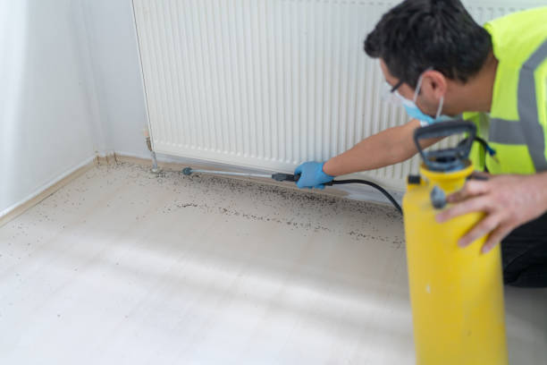 Best Best Pest Control Companies  in Boley, OK