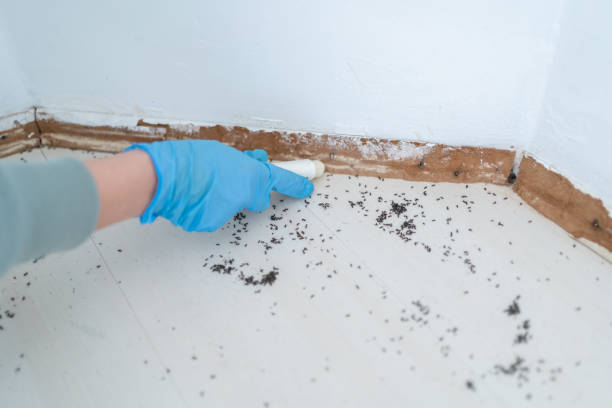 Best Wildlife Control Services  in Boley, OK