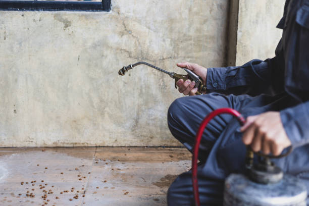 Best Commercial Pest Control Services  in Boley, OK